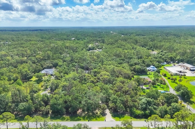 6514 N Biscayne Dr, North Port, FL 34291 - drone / aerial view of a forest
