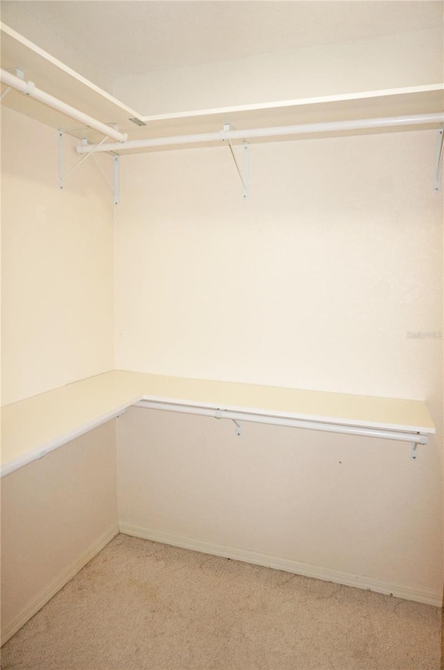 1128 Rum Cay Ct, Punta Gorda, FL 33950 - walk in closet with light carpet