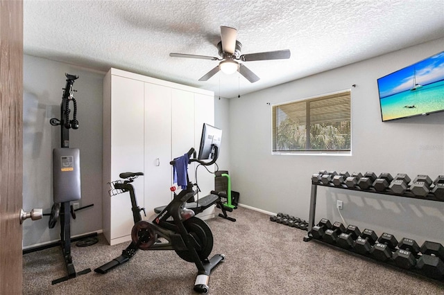 8513 Heister St, Punta Gorda, FL 33982 - workout room with a ceiling fan, carpet floors, and a textured ceiling