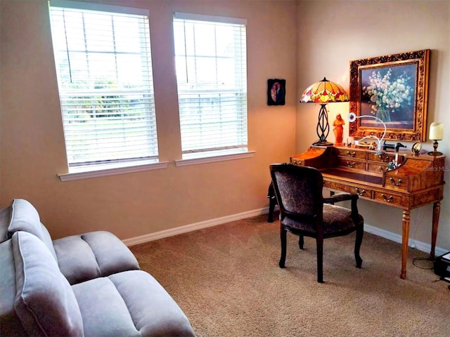 25224 Lahore Ln, Punta Gorda, FL 33983 - carpeted home office featuring healthy amount of natural light