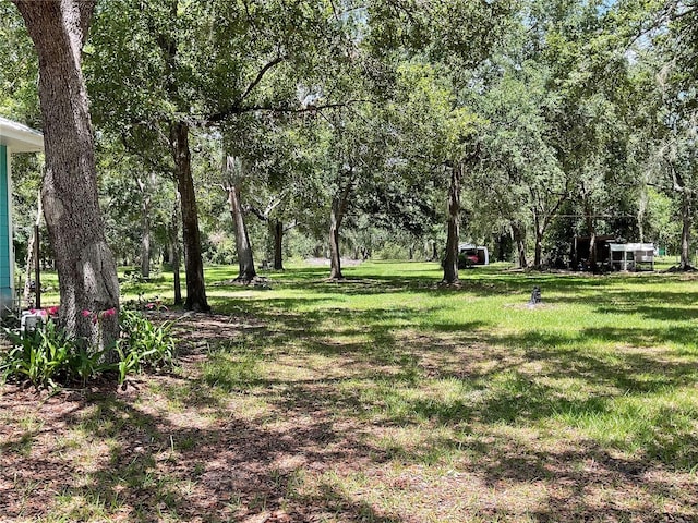 3895 Sunset Dr, Zolfo Springs, FL 33890 - view of grassy yard