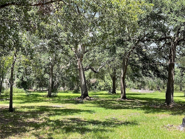 3895 Sunset Dr, Zolfo Springs, FL 33890 - view of green lawn