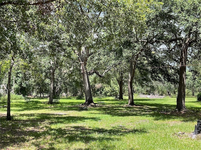 3895 Sunset Dr, Zolfo Springs, FL 33890 - view of green lawn