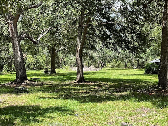 3895 Sunset Dr, Zolfo Springs, FL 33890 - view of green lawn