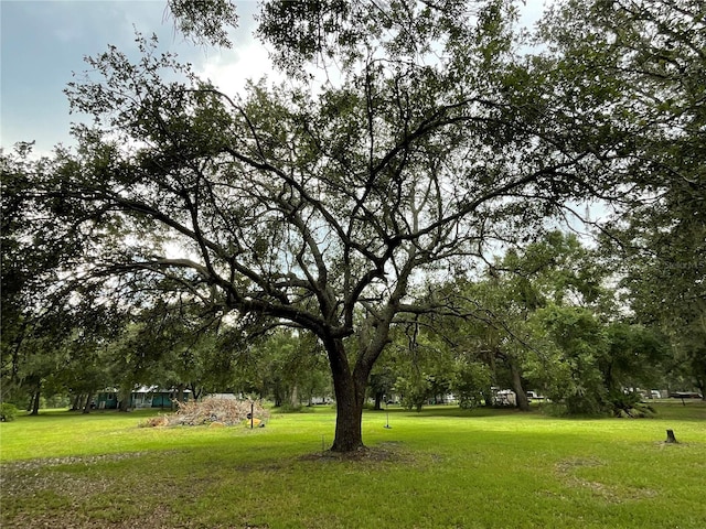 3895 Sunset Dr, Zolfo Springs, FL 33890 - photo 28