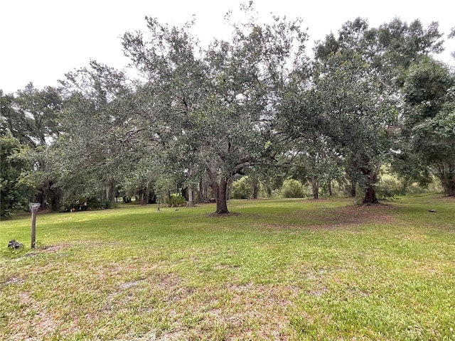 3895 Sunset Dr, Zolfo Springs, FL 33890 - photo 40