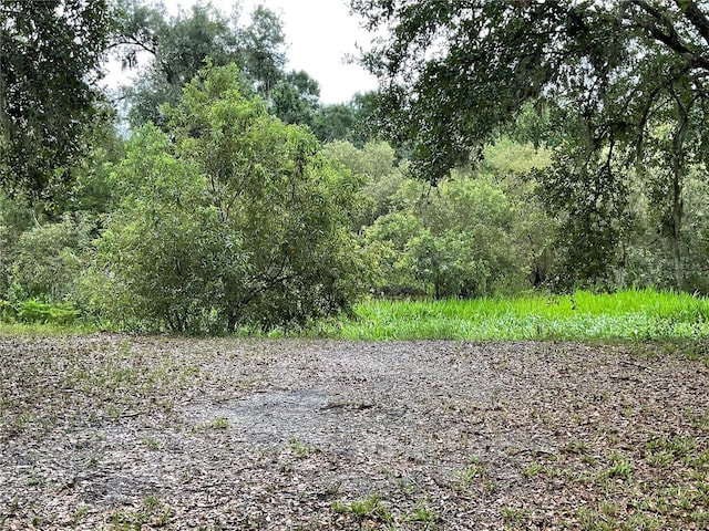 3895 Sunset Dr, Zolfo Springs, FL 33890 - photo 41