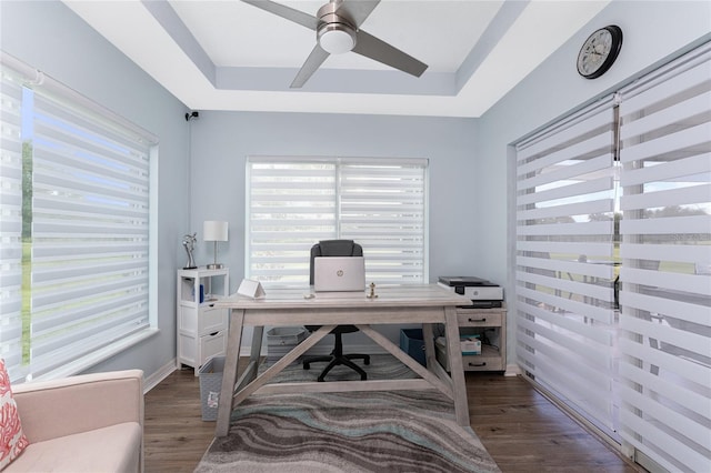 26254 Stillwater Cir, Punta Gorda, FL 33955 - home office with healthy amount of natural light and a raised ceiling