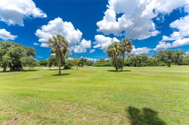 26254 Stillwater Cir, Punta Gorda, FL 33955 - view of grassy yard featuring view of wooded area