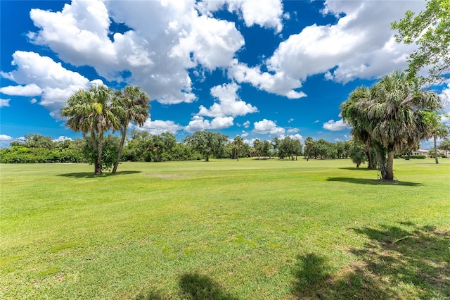 26254 Stillwater Cir, Punta Gorda, FL 33955 - view of home's community featuring a yard, view of scattered trees, and golf course view