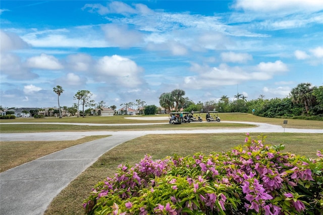 26254 Stillwater Cir, Punta Gorda, FL 33955 - view of property's community with a lawn