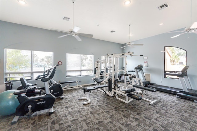 26254 Stillwater Cir, Punta Gorda, FL 33955 - workout area with a ceiling fan, lofted ceiling, carpet floors, and recessed lighting