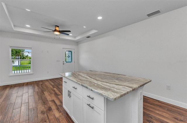 419 Carmalita St, Punta Gorda, FL 33950 - kitchen with a raised ceiling, dark wood-type flooring, a ceiling fan, recessed lighting, and white cabinetry