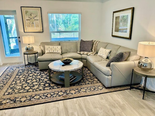 1992 Sunset Preserve Way, Port Charlotte, FL 33953 - living area featuring wood finished floors and plenty of natural light