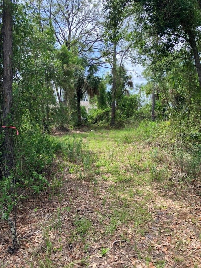 Blitzen Ter, North Port, FL 34287
