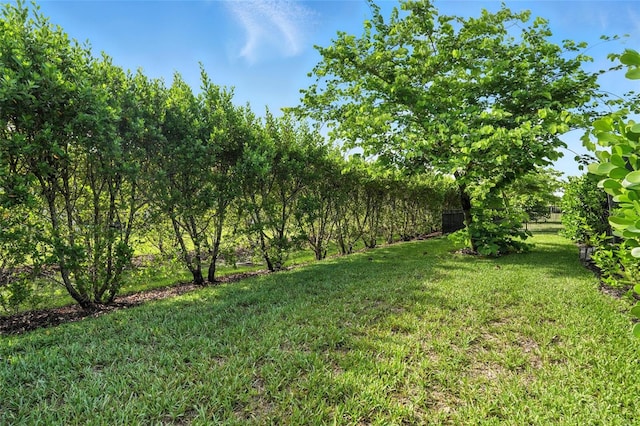 3215 Birchin Ln, Fort Myers, FL 33916 - photo 38