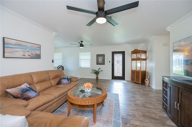 21539 Gladis Ave, Port Charlotte, FL 33952 - living area with ceiling fan, crown molding, and wood finished floors