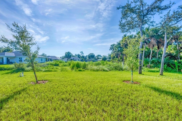 2340 Rushmore St, North Port, FL 34288 - view of green lawn