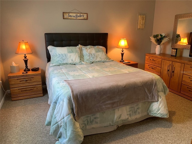 18094 Ackerman Ave, Port Charlotte, FL 33948 - view of carpeted bedroom