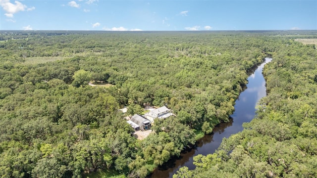 6605 NE Masters Ave, Arcadia, FL 34266 - aerial view of property and surrounding area featuring a forest and a large body of water