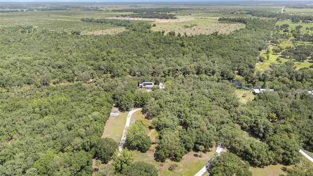 6605 NE Masters Ave, Arcadia, FL 34266 - aerial view of property's location with a forest