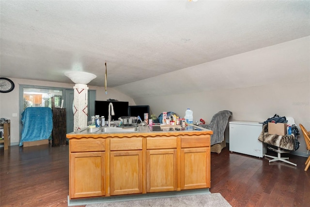 6605 NE Masters Ave, Arcadia, FL 34266 - kitchen with refrigerator, dark wood-style floors, lofted ceiling, light countertops, and a desk