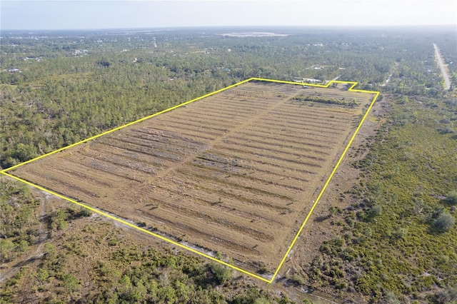 12252 Burnt Store Rd, Punta Gorda, FL 33955 - photo 1