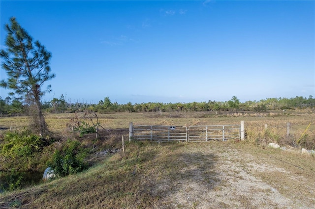 12252 Burnt Store Rd, Punta Gorda, FL 33955 - photo 4