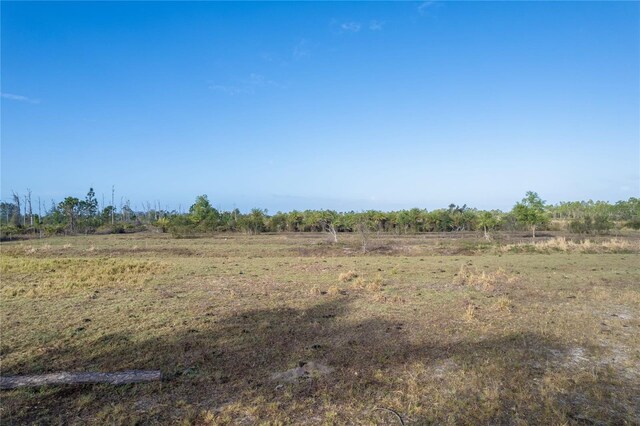 12252 Burnt Store Rd, Punta Gorda, FL 33955 - photo 5