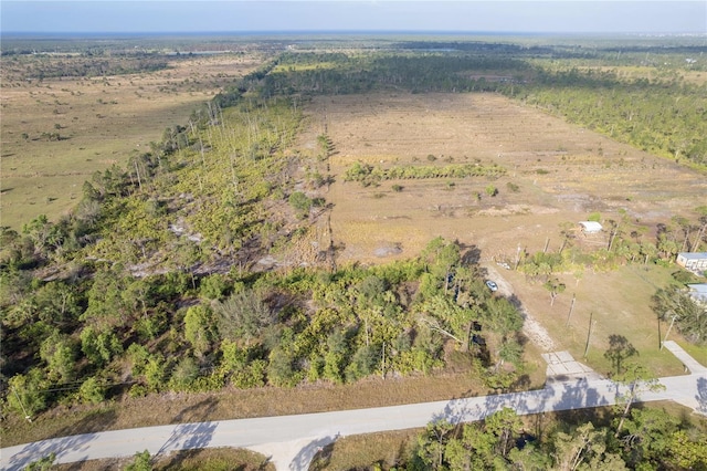12252 Burnt Store Rd, Punta Gorda, FL 33955 - photo 7