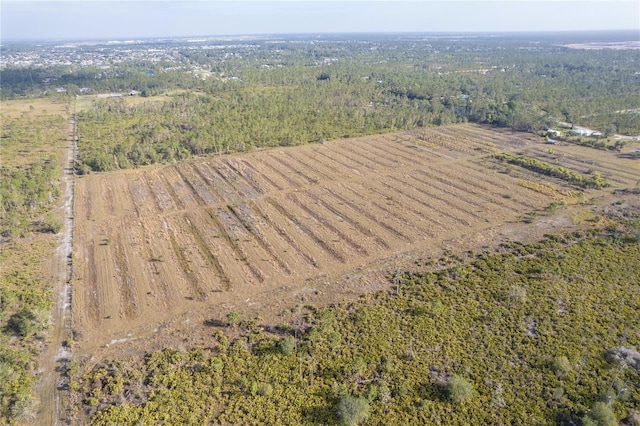 12252 Burnt Store Rd, Punta Gorda, FL 33955 - photo 9
