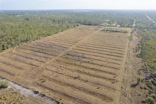 12252 Burnt Store Rd, Punta Gorda, FL 33955 - photo 10