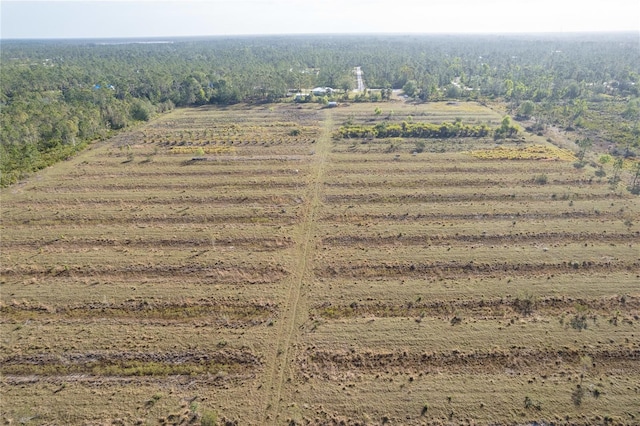 12252 Burnt Store Rd, Punta Gorda, FL 33955 - photo 11