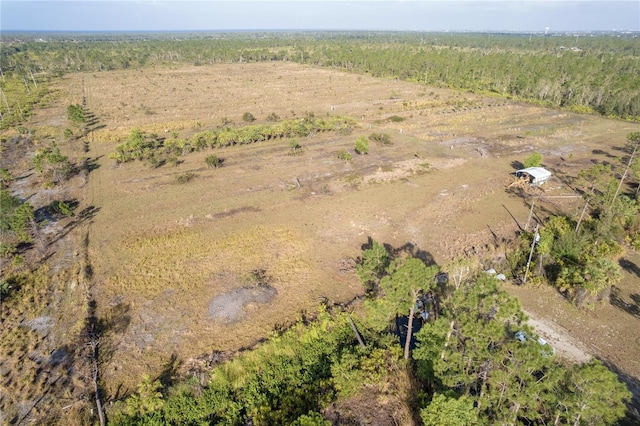 12252 Burnt Store Rd, Punta Gorda, FL 33955 - photo 12