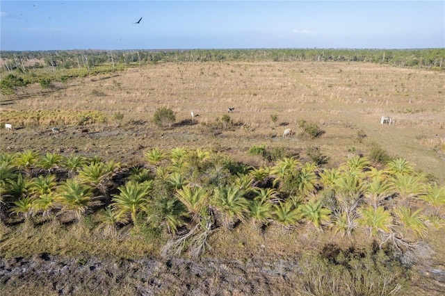 12252 Burnt Store Rd, Punta Gorda, FL 33955 - photo 14