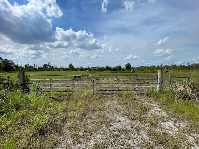 12252 Burnt Store Rd, Punta Gorda, FL 33955 - photo 24