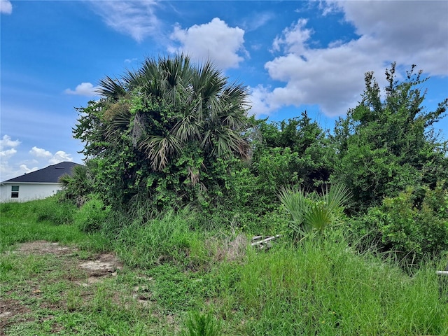 8464 Dinnano St, Port Charlotte, FL 33981
