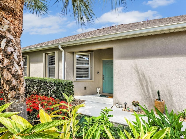 4180 Lenox Blvd, Venice, FL 34293 - doorway to property with stucco siding and a shingled roof