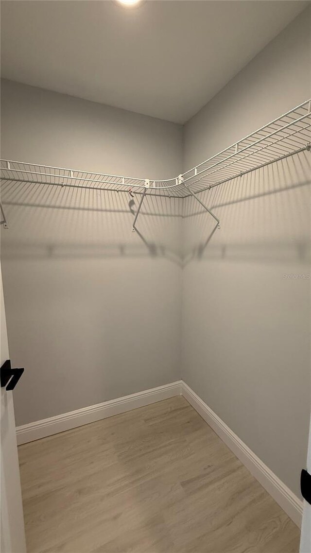 7052 Legion St, Port Charlotte, FL 33981 - walk in closet with light wood-style floors