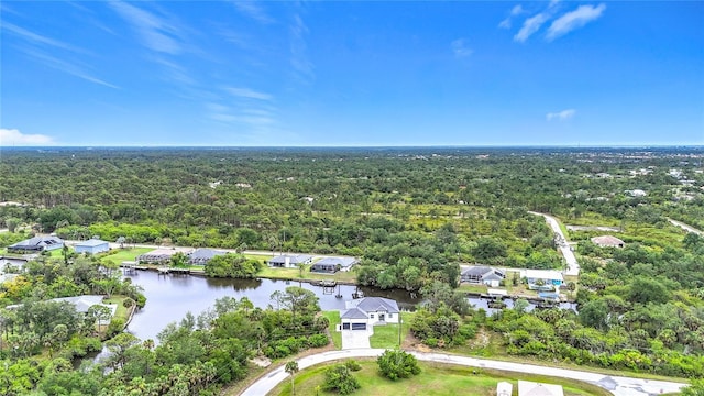 576 Mcdill Dr, Port Charlotte, FL 33953 - aerial view of a heavily wooded area and a large body of water