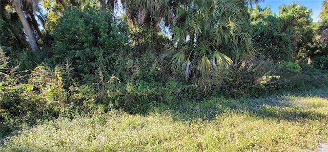 Geary Ter, North Port, FL 34288 - photo 2
