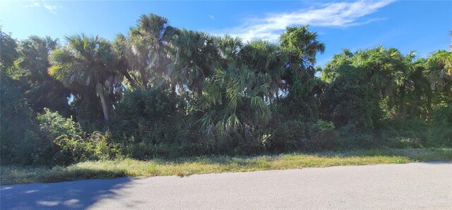 Geary Ter, North Port, FL 34288 - photo 3