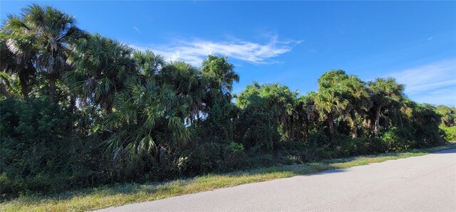 Geary Ter, North Port, FL 34288 - photo 4