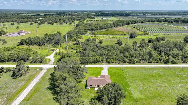 3993 NE Bobay Rd, Arcadia, FL 34266 - view of rural area with rows of crops