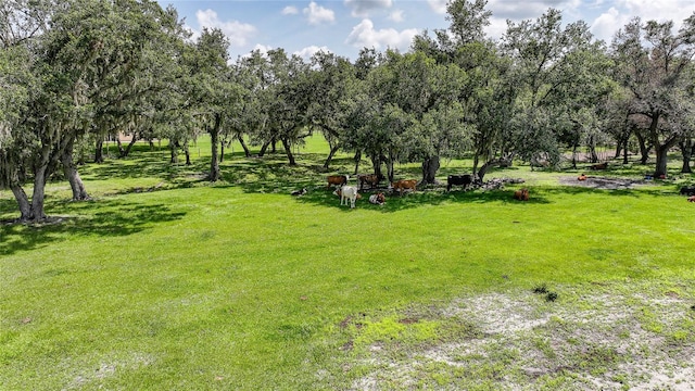 3993 NE Bobay Rd, Arcadia, FL 34266 - view of grassy yard featuring view of wooded area