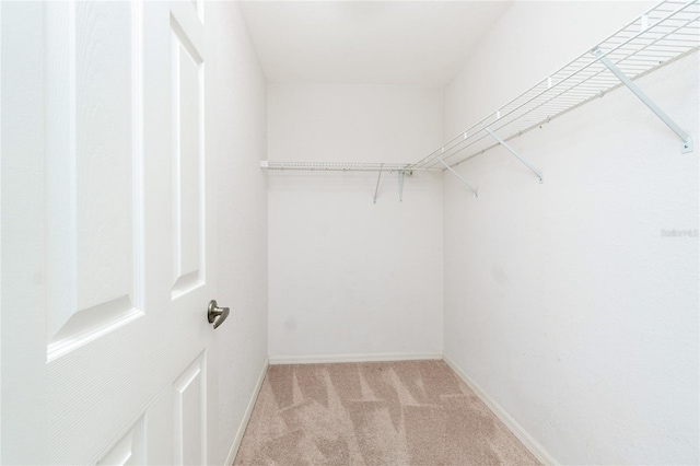 18147 Brazil Ave, Port Charlotte, FL 33948 - walk in closet featuring carpet