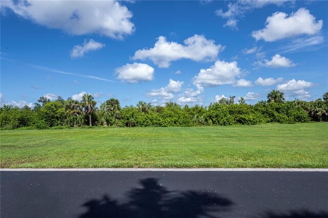 4041 Lea Marie Island Dr, Port Charlotte, FL 33952 - photo 6