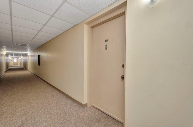 2437 Harbor Blvd Unit 114, Port Charlotte, FL 33952 - hall with carpet flooring and a drop ceiling