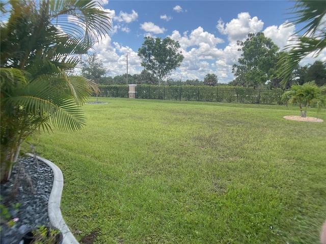 25228 E Lenox Cir, Punta Gorda, FL 33950 - view of yard