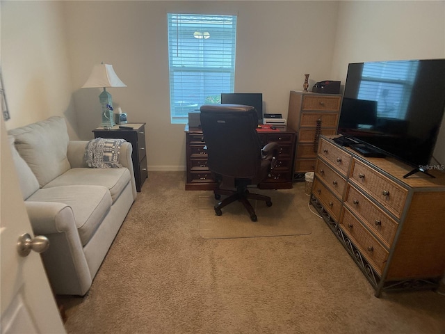 25228 E Lenox Cir, Punta Gorda, FL 33950 - office space featuring light carpet and baseboards